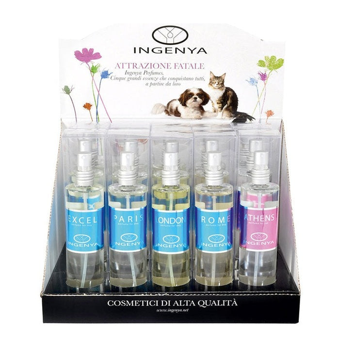 Άρωμα Paris 100ml