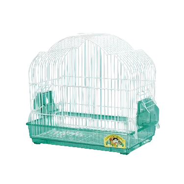 Μαργαρίτα Νέου Τύπου Κλουβί Βαμμένο