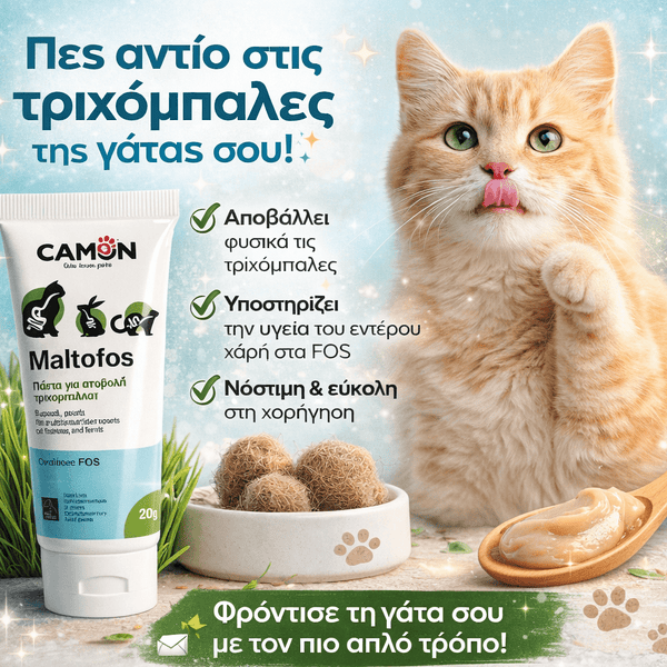 Maltofos - Πάστα κατά της τριχώμπαλας