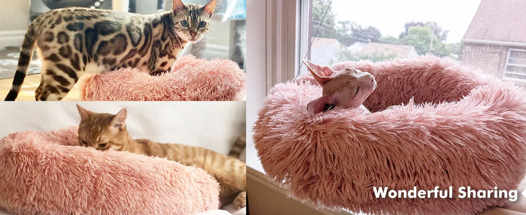 «Το κρεβάτι σκύλου είναι απαλό και άνετο, κατασκευασμένο από υψηλής ποιότητας υφάσματα. Η βάση του είναι αδιάβροχη και αντιολισθητική, προσφέροντας σταθερότητα και προστασία. Διαθέσιμο σε μεγάλα μεγέθη, κατάλληλο για όλα τα κατοικίδια.»